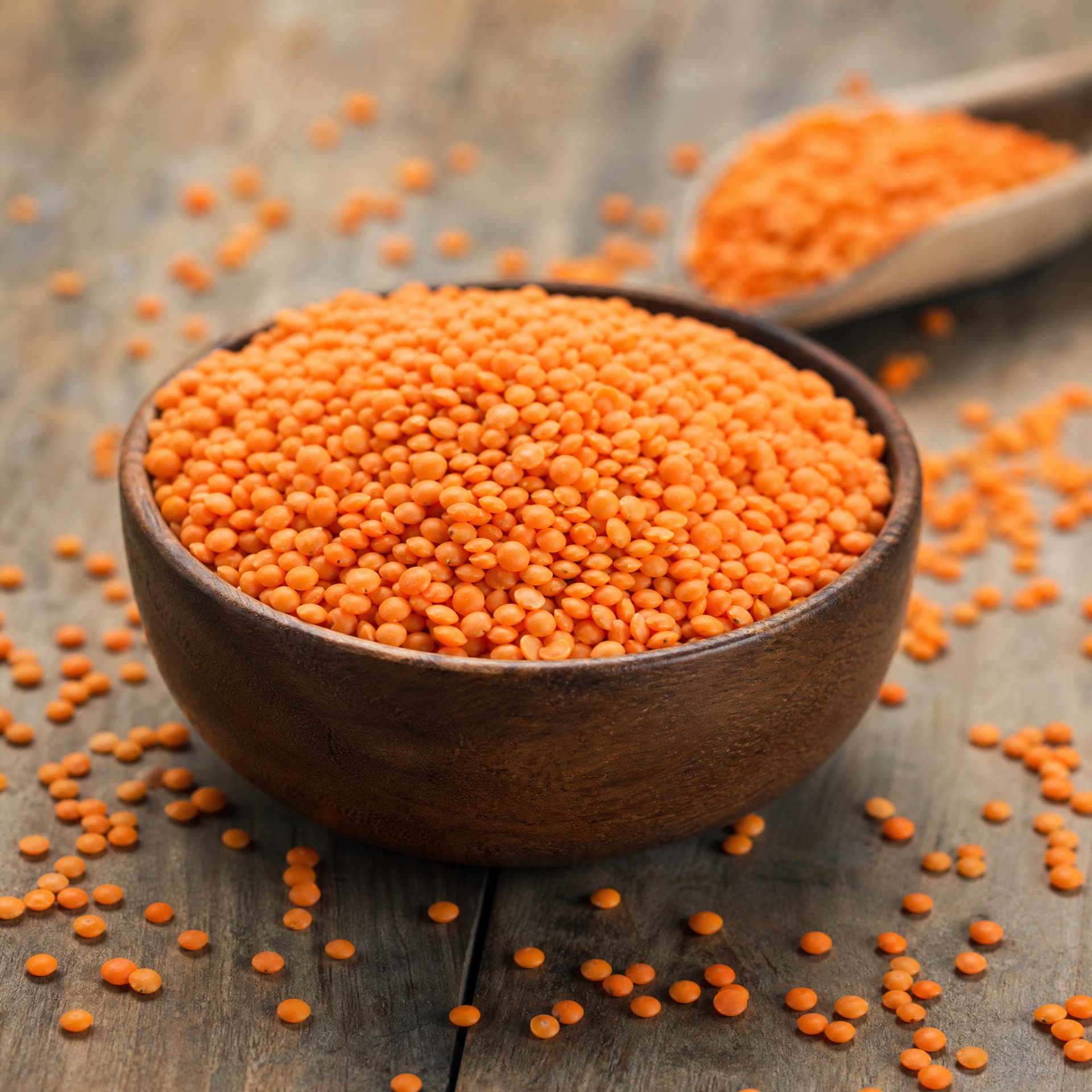 European Quality Standards in Legume Exports