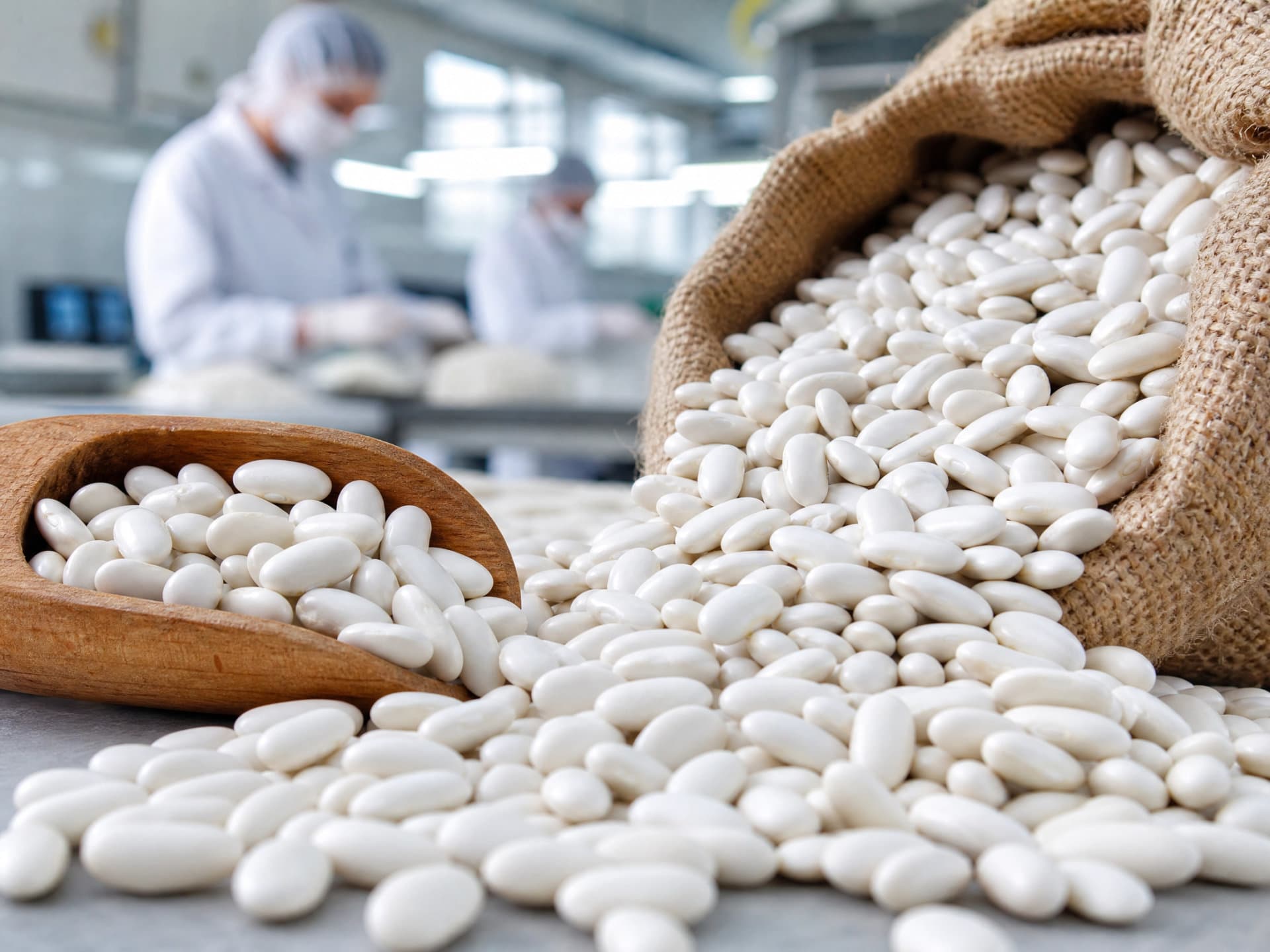 Premium Egyptian White Beans