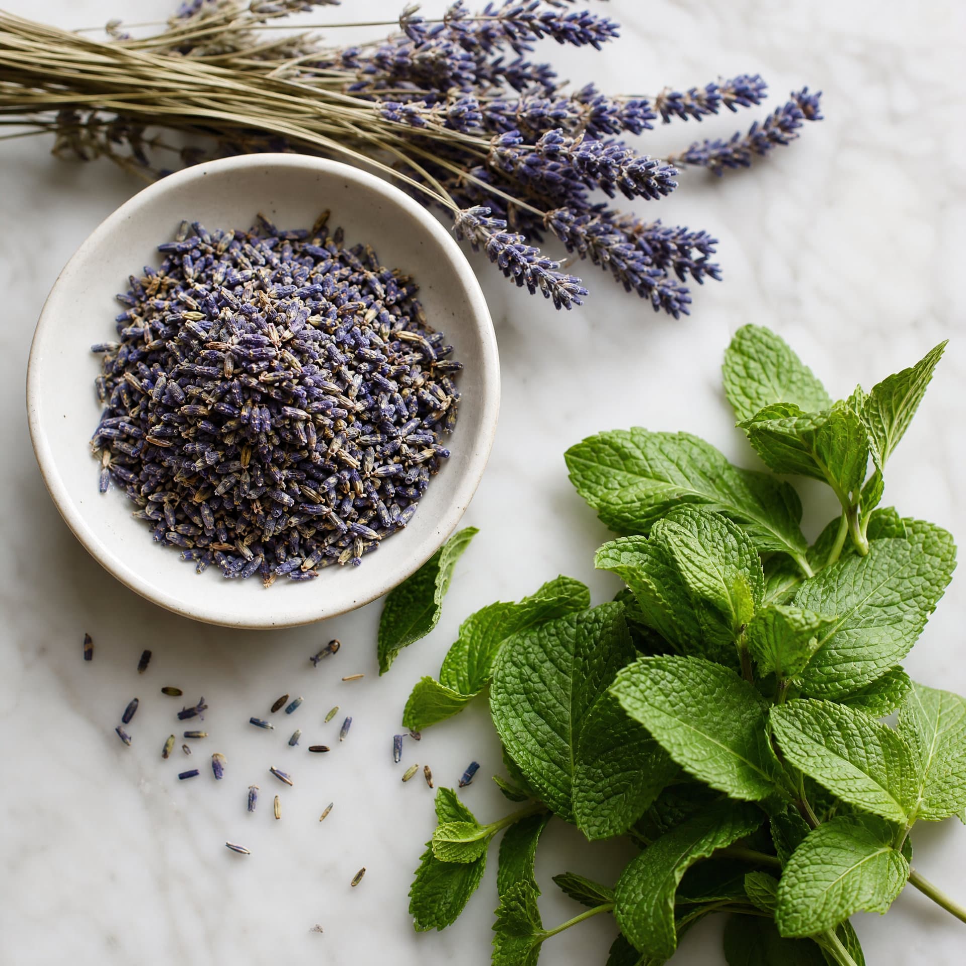 Egyptian Medicinal Herbs for Export